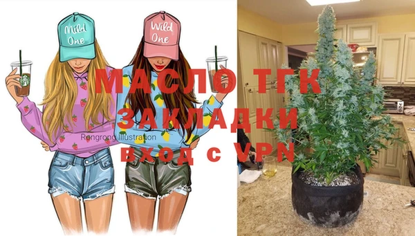 твердый Богданович