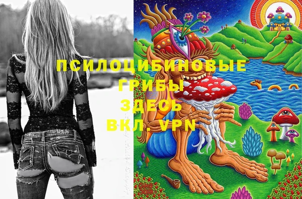 твердый Богданович