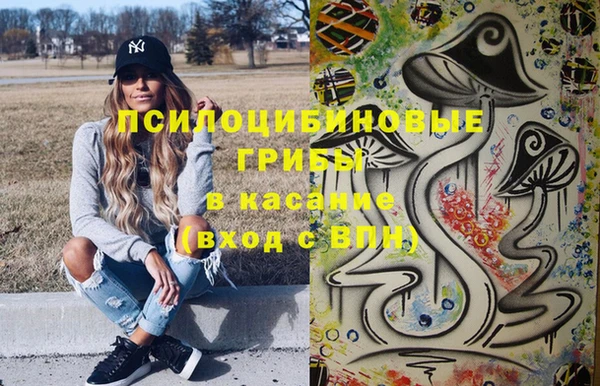 молекула духа Богородицк