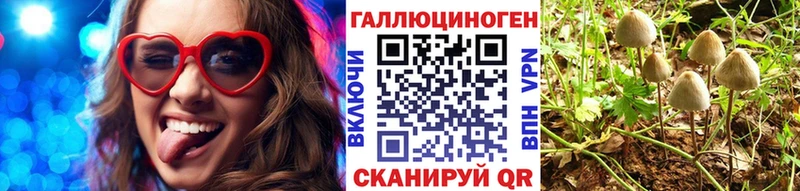 Псилоцибиновые грибы мицелий  Видное 