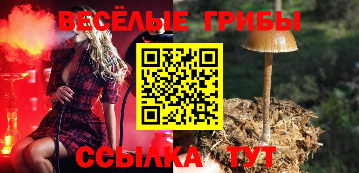 наркота  Псилоцибиновые грибы GOLDEN TEACHER  Вход с VPN  Видное  Галлюциногенные грибы Psilocybe 